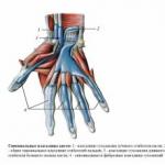 Panaritium: symtom och behandling hemma Komplikationer av subkutan panaritium 3 fingrar